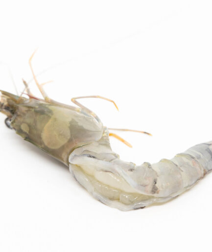 Black tiger gamba body peel (10x 1kg/doos)