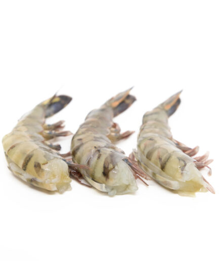 Black tiger gamba easy peel (10x 1kg/doos)