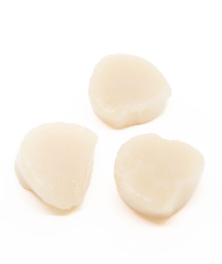 Coquilles clearwater 10-20 (10x1kg/doos)