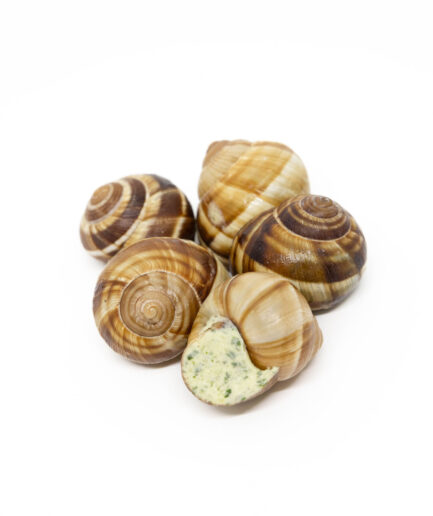 Escargots (48) 6 zak in doos)